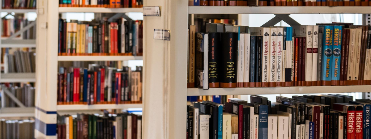 The Power of Public Lending Right (PLR) in the UK