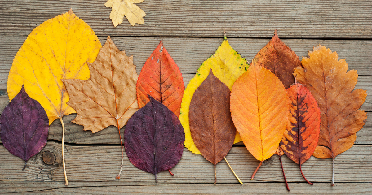 NaNoWriMo and writing your novel