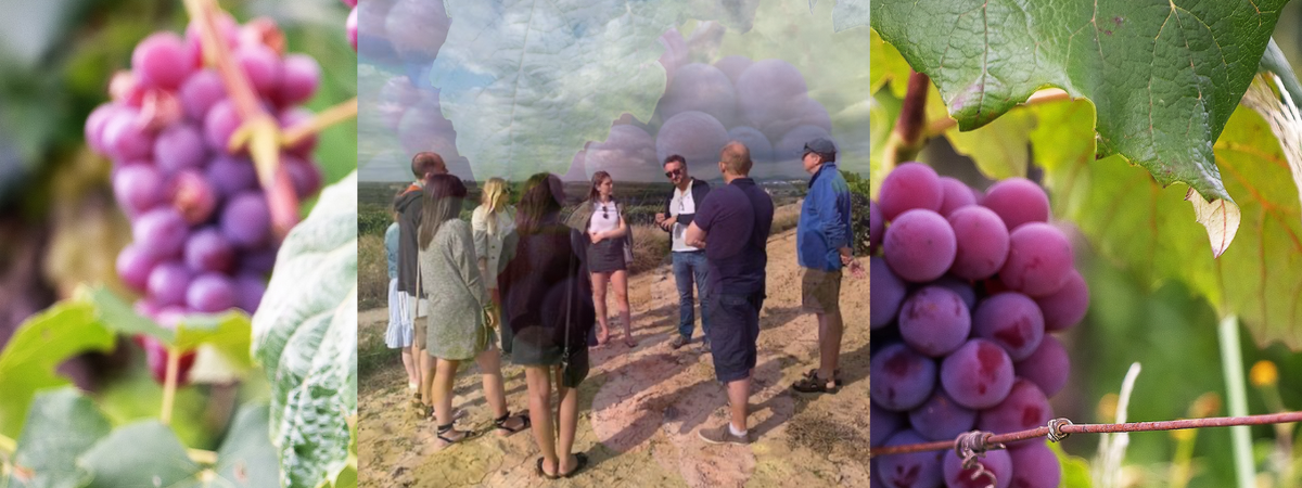 Wine and books. The perfect combination?