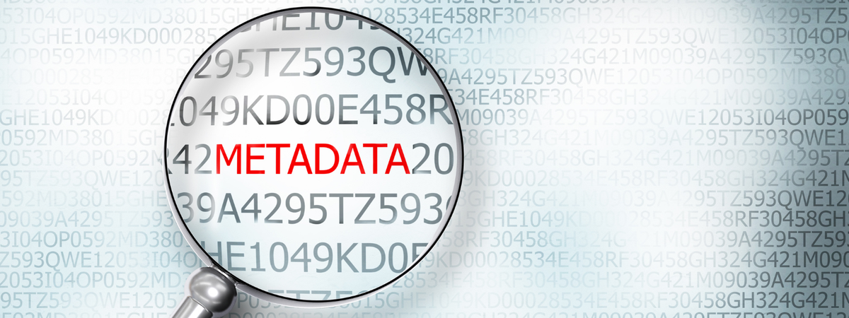 Rewarding Great Metadata