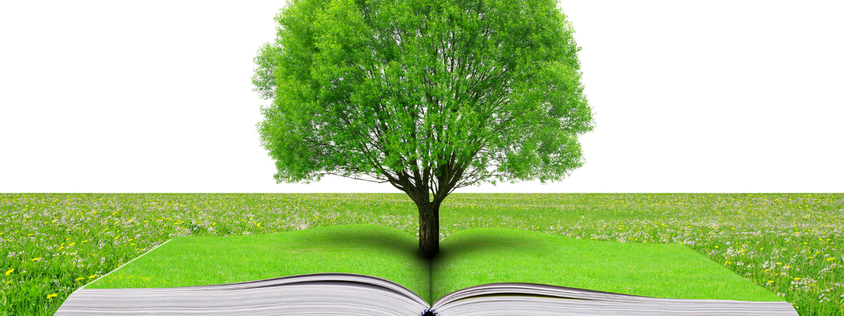 Troubador Publishing announce their tree planting scheme